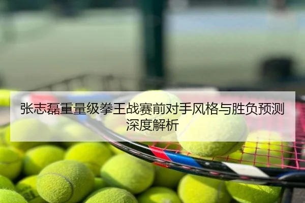 张志磊重量级拳王战赛前对手风格与胜负预测深度解析