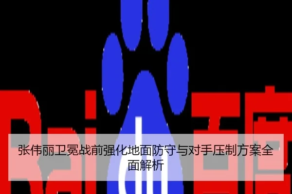 张伟丽卫冕战前强化地面防守与对手压制方案全面解析